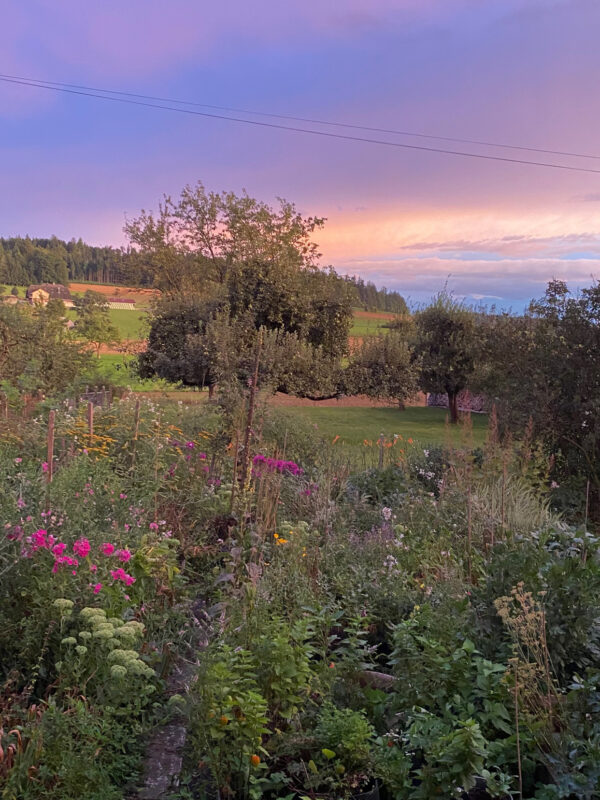 Mein Cottage Garten