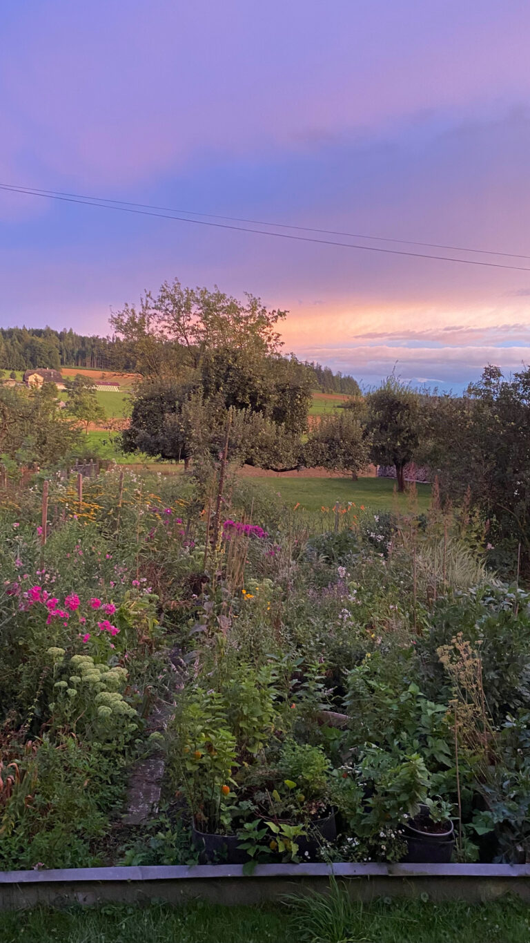 Mein Cottage Garten